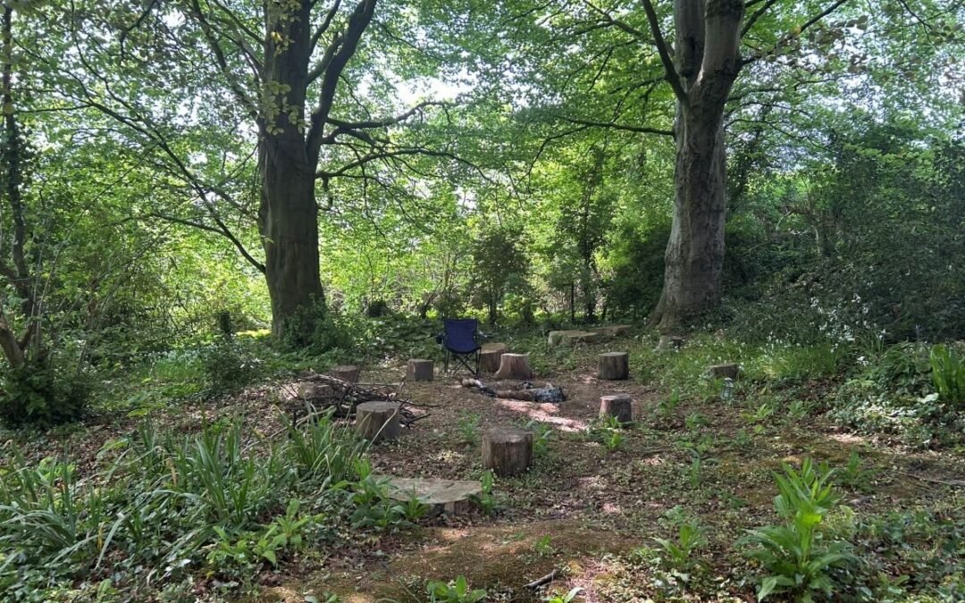 Way of the Wild Shamanka