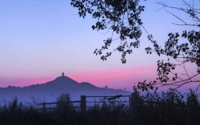 The Way of the Oracle