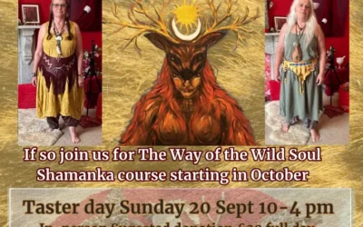 Wild Soul Shamanka Taster Day