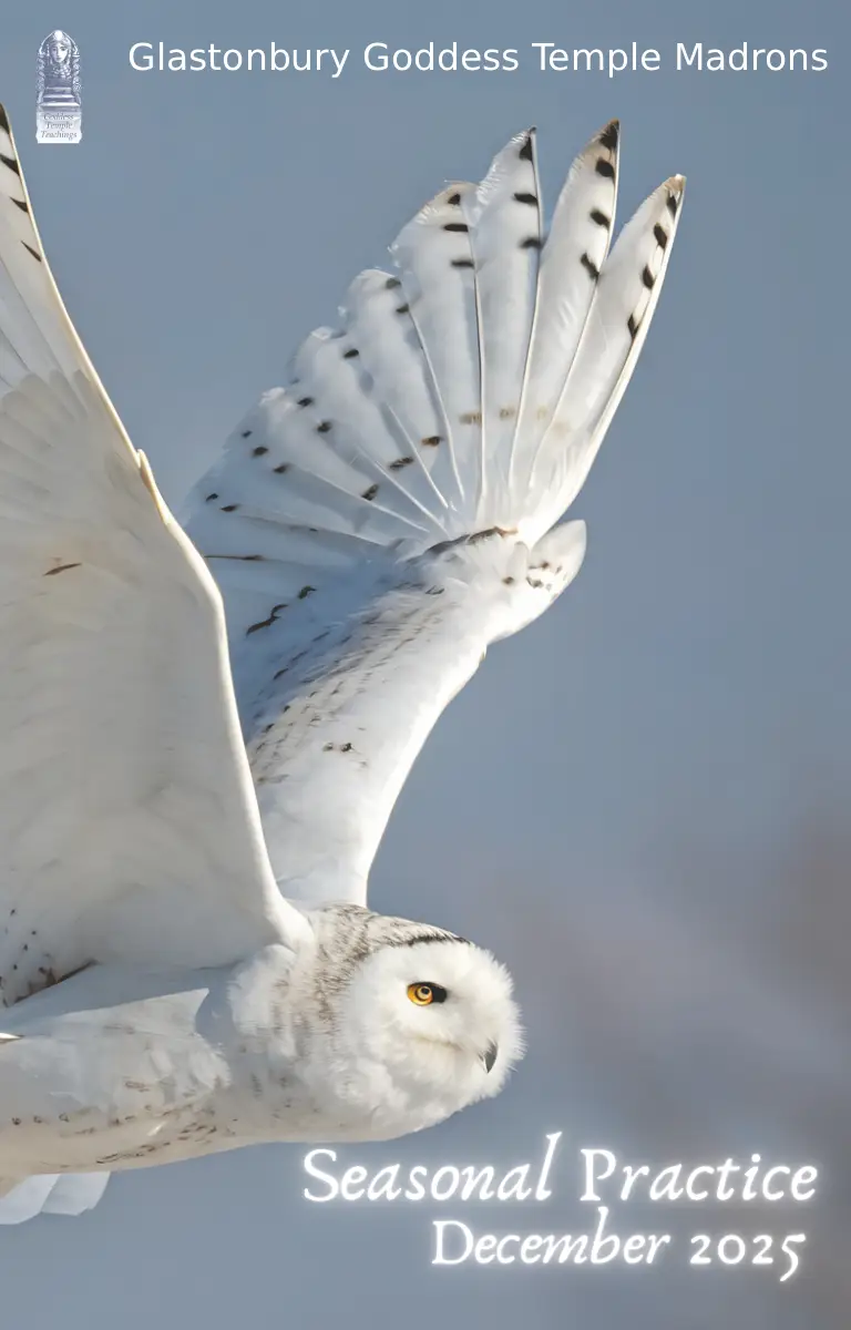 Seasonal Practice Dec 2025 Seasonal Practice